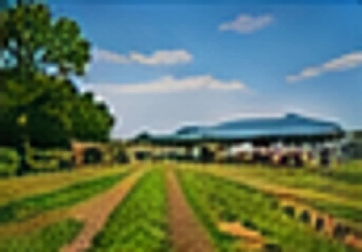 Farm overview