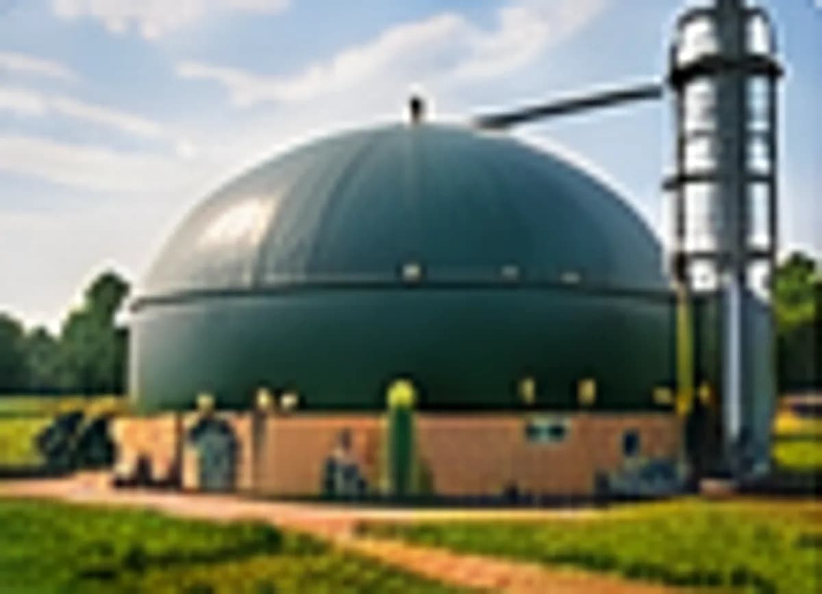 Biogas & Renewable