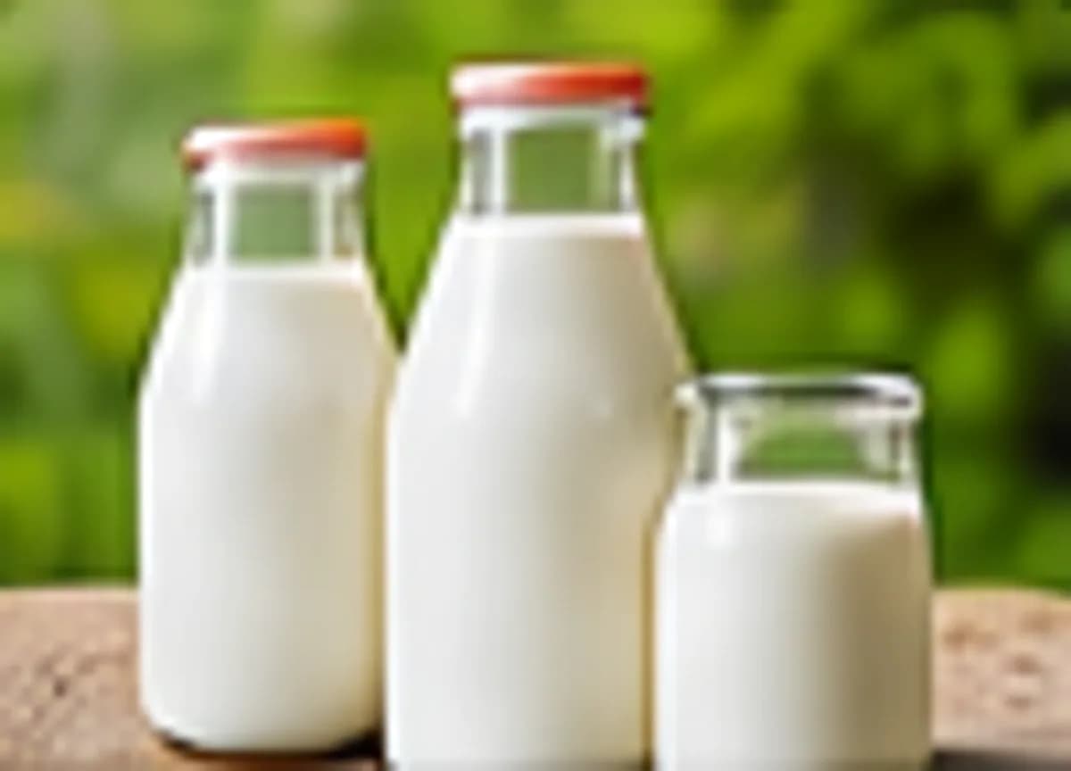 Fresh Milk