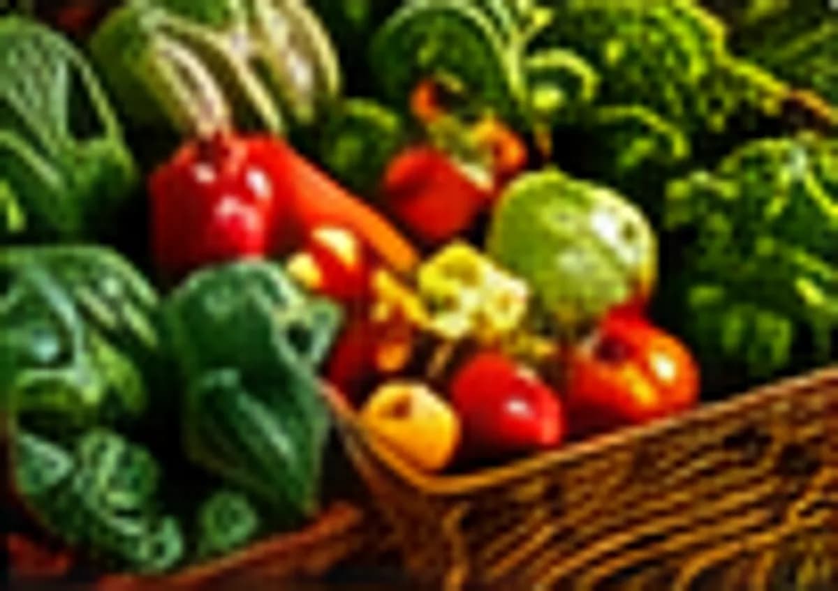 Fresh Vegetables